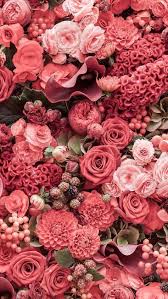 Flowers Photography Wallpaper Nature Blossoms 37 Ideas In 2020 Flower Iphone Wallpaper Flower Background Iphone Pink Flowers Wallpaper