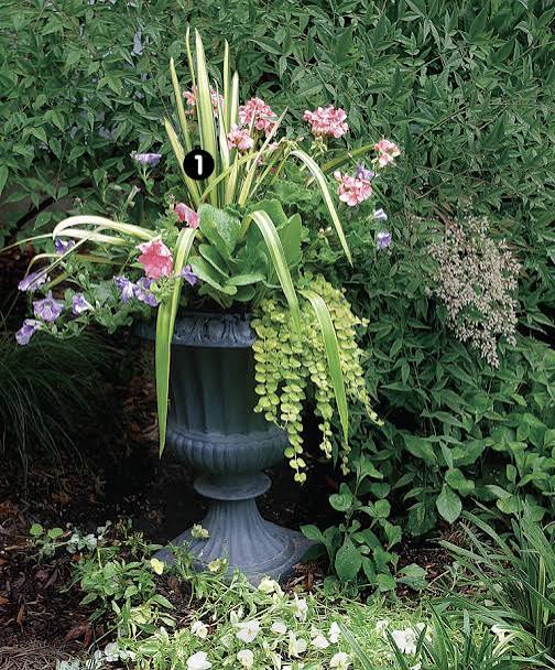 plants for all seasons