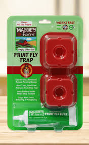 New 5 boxes maggie's farm no spill ant kill 30 bait stations total borax. Maggie S Farm Simply Effective Fruit Fly Trap Fruit Fly Trap Fruit Flies Fly Traps