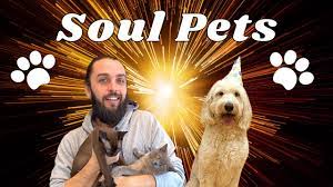 Soul pets