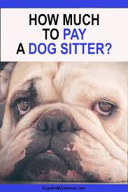 How Much To Pay A Dog Sitter In 2020 Sitter Pet Health Insurance Puppy Health