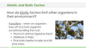 Ecosystem Biotic And Abiotic Factors Worksheet Abiotic And Biotic Factors 5e Lesson Plan Abiotic Biotic Science Lessons