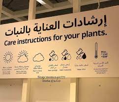 لوحة ارشادات العنايه بالنباتات اللي تباع في ايكيا كل نبته حاطين عليها رموز ايش تحتاج مثلا كمية الماء وهل تحتاج شمس او لا انت house plants plants gardening tips