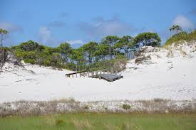Nature is here, very prevalent from the algae throughout pensacola to the sargaasum at henderson beach state park. 10 Of The Best State Parks In The Florida Panhandle