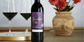 Image result for Wine Red 1996 AAV