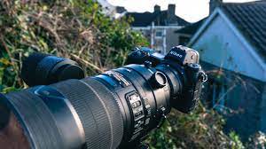 Bird Photography With The Nikon Z6 Wildlife Photography Review Youtube