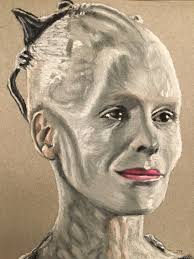 Two additions to my Ultimate Playmates Seven of Nine and Borg Queen  Collective.