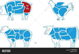 Beef Pork Lamb Vector Photo Free Trial Bigstock