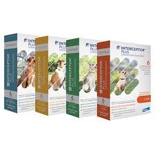 As a family owned and operated business, our focus is to do the right thing for our patients, their families, our community, and each other in all we do! Northwest Pet Clinic Ina Delivery Products Interceptor Plus 21610701pk