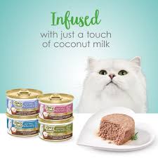 No Need To Purr Suade Your Cat To Enjoy Fancy Feast Gourmet Naturals Infused With Just A Touch Of Coconut These Recipes Are Sure To Fee Feast Coconut Infused