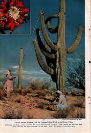 Mid-Century Geographic — Ektachrome by Ray Manley for Western ways...