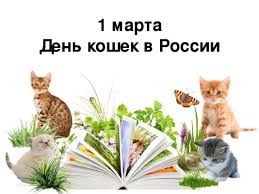 Картинка кот нюхает ягоды в снегу. 1 Marta Den Koshek