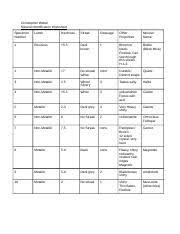 Igneous Rocks Chart Christopher Weber Docx Christopher