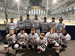 2013 Biggby AAA Hockey Team