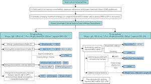 How an allergist can help you: An Algorithmic Approach For The Treatment Of Severe Uncontrolled Asthma European Respiratory Society