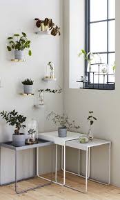 Las plantas siempre aportan algo más a tu hogar. Ideas De Decoracion Como Integrar Las Plantas En La Decoracion De Tu Casa Foto 1
