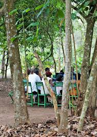 Image result for Kotschya uguenensis