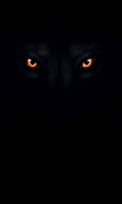 Epingle Par Natia Sur მომწონს Avec Images Ecran Noir Et Blanc Fond D Ecran Noir Et Blanc Loup Garou