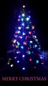 Merry Christmas Animated Gif Free Download Gifs Tenor Search, discover and share your favorite christmas gifs.