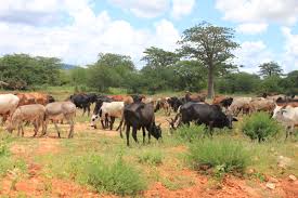 12 vacation rentals and hotels available now. Datei Dodoma Tanzania Panoramio Jpg Wikipedia