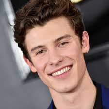 Shawn peter raul mendes (; Shawn Mendes Was Reportedly Cut On His Face By A Fan During A Concert Teen Vogue