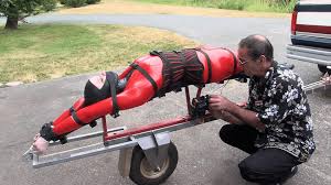 House Of Gord Part II