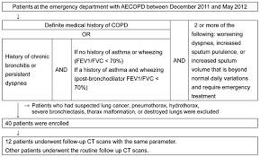 computed tomography manifestation of acute exacerbation of