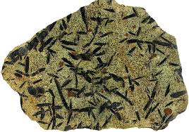 Image result for Medium Garnet 1996 CIL