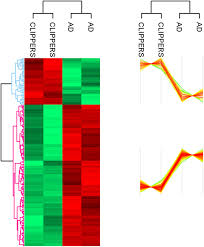 Echangez infos et conseils entre personnes concernées par syndrome de clippers ✓ 1er réseau social pour les patients et leurs proches. Frontiers Omics Based Approach Reveals Complement Mediated Inflammation In Chronic Lymphocytic Inflammation With Pontine Perivascular Enhancement Responsive To Steroids Clippers Immunology