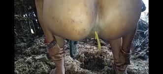 Desi Bhabhi Potty - Wild Indian Wife Shitting During Chudai