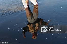 139 Mark Chatfield Stock Photos, High-Res Pictures, and Images