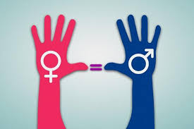 La equidad género es una situación en la. 43 Ejemplos De Equidad De Genero Destacados
