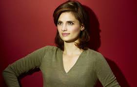 Galería de fotos del fansite español de stana katic, tu fuente número 1 en españa de la actriz stana katic. Wallpaper Look Pose Smile Actress Smile Hair Look Stana Katic Stana Katic Actress Hairstyle Images For Desktop Section Devushki Download