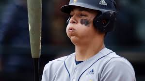 Indiana High School Baseball 4A Sectional semis: Castle beats North