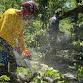 Texas on Mission Chainsaw Training event in Granbury, TX