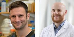 Investigators Explore Cellular Response to Stress