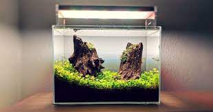 The innovation of this aquarium keeps the aquascaper in mind, while enhancing every aspect of your setup. Das Nano Aquarium Kleiner Blickfang Mit Grosser Wirkung Aquascaping Berlin