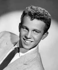 Bobby Vinton Discography: Vinyl, CDs, & More
