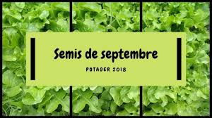 This article explains the common types of legumes and what says says about their health profile. Vlog 2 Petits Travaux Du Mois De Septembre Au Potager Youtube