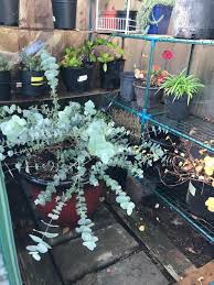 Choose from our selection of greenhouse plastic to cover your greenhouse frame, or create a cold our agtec woven greenhouse plastics are extra thick and scrim reinforced to offer superb strength. Walk In Portable Greenhouse With Shelves 532 Rona