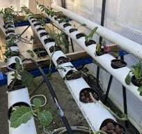 How To Build a DIY NFT (Nutrient Film Technique) Hydroponic ...