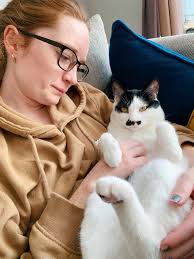 Is this your cute and friendly cat?