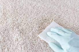 How To Remove Urine Stains From Clothes Carpet