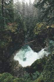 Writing Inspiration Character Inspiration Paranormal Romance Writing A Book Wolves Forests Cabin Storyb Beautiful Photography Nature Nature Photography Scenery