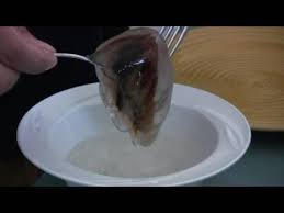 How To Cook A Jellyfish Or Fun Ideas For A Family Vacation - Youtube