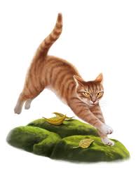 He was born as crowkit to deadfoot and ashfoot and later became an apprentice as crowpaw, being mentored by mudclaw. Leafpool Appreciation Warrior Cats Forums