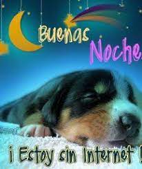 Buenas Noches Dulces Suenos Gif Animado Einstein Animals Buena