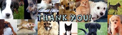 We rescue cats and dogs surrendered or abandoned at our local shelters. Donate Hopalong Animal Rescue