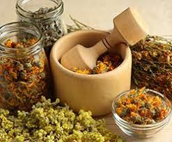 There are also a variety of hair oils, or hair tonics, that can be used for natural hair loss treatment. Herbs And Botanicals For Hair Rinses Ida S Soap Box