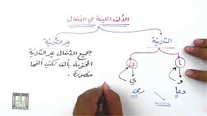 الألف اللينة في الأفعال١ Youtube
